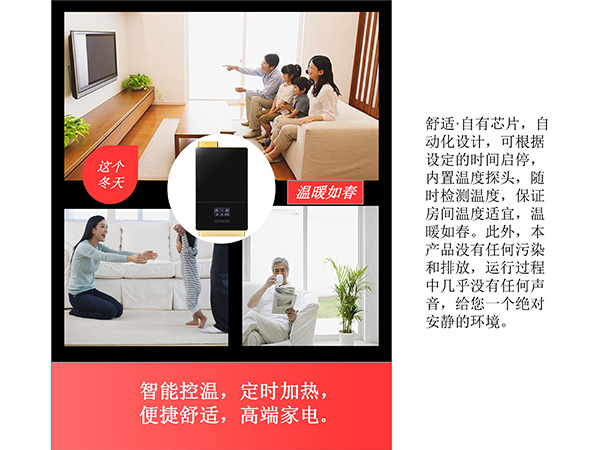 采暖壁掛爐 采暖壁掛爐